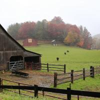 Country Barns & Pasture, Linville Falls Hwy & Slagle Branch Road, Banner Elk,  NC