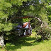 Arbored Chimney Home, Burnsville, NC
