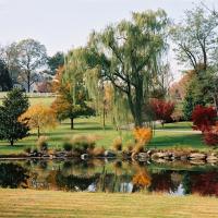 Golden Pond, Shenandoah Valley, Little Washington,  VA
