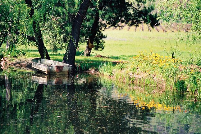 "Monet" Pond