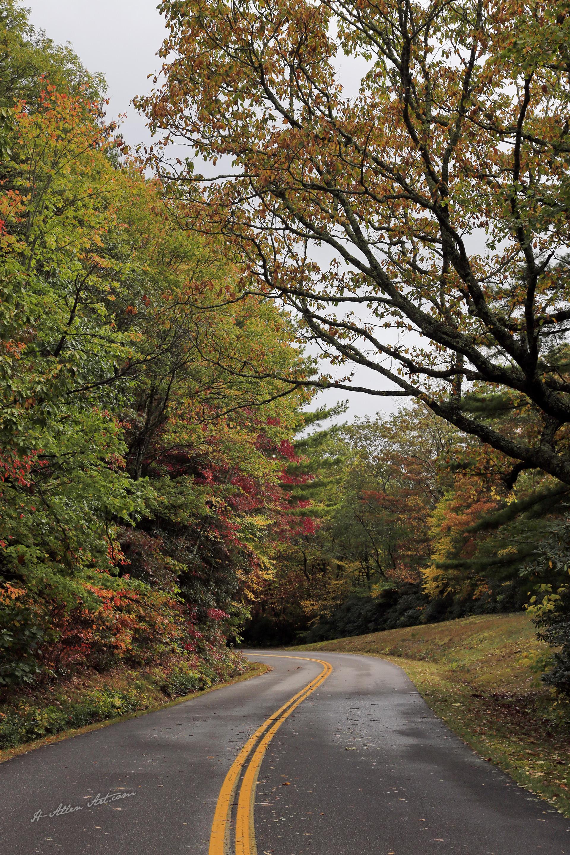 Blue Ridge Parkway I, NC Blue Ridge Parkway I, NC