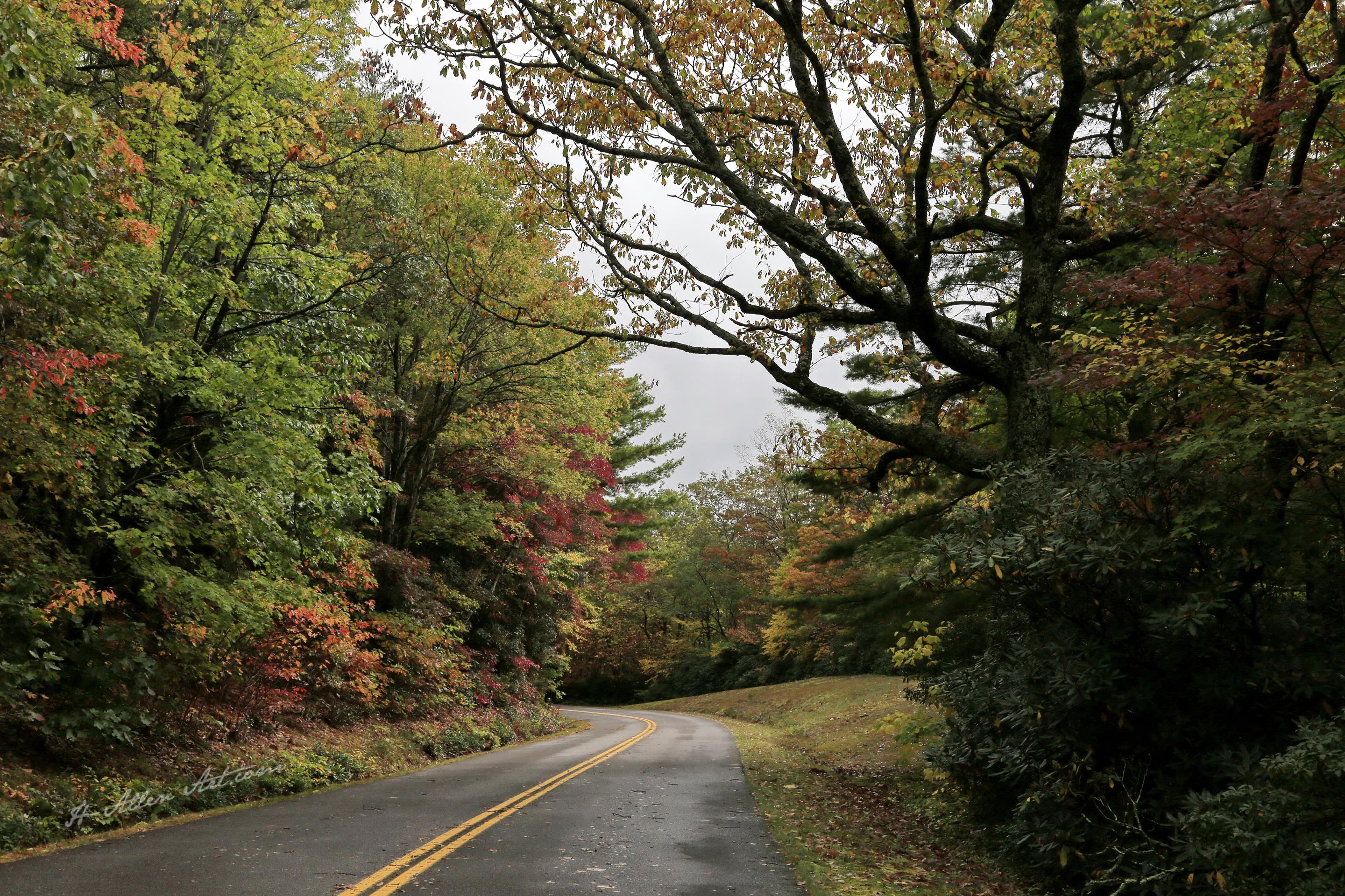 Blue Ridge Parkway II, NC Blue Ridge Parkway II, NC