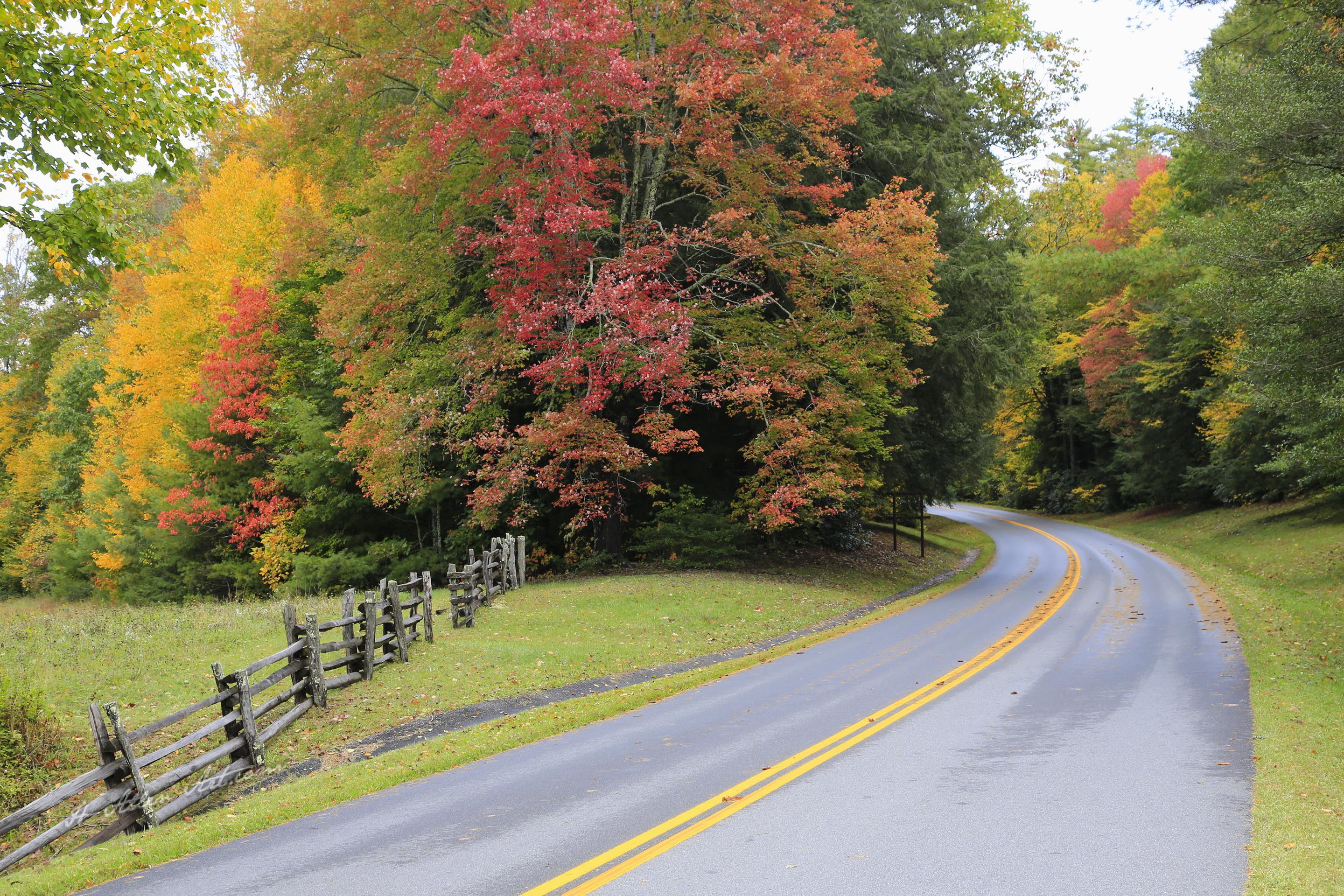 Blue Ridge Parkway Pullover II, near Linville, NC Blue Ridge Parkway Pullover II, near Linville, NC