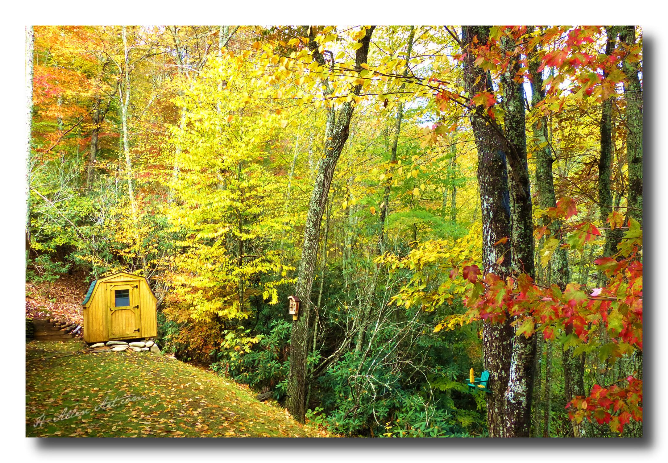 Chestnut Hill Barn Shed, Burnsville, NC Chestnut Hill Barn Shed, Burnsville, NC