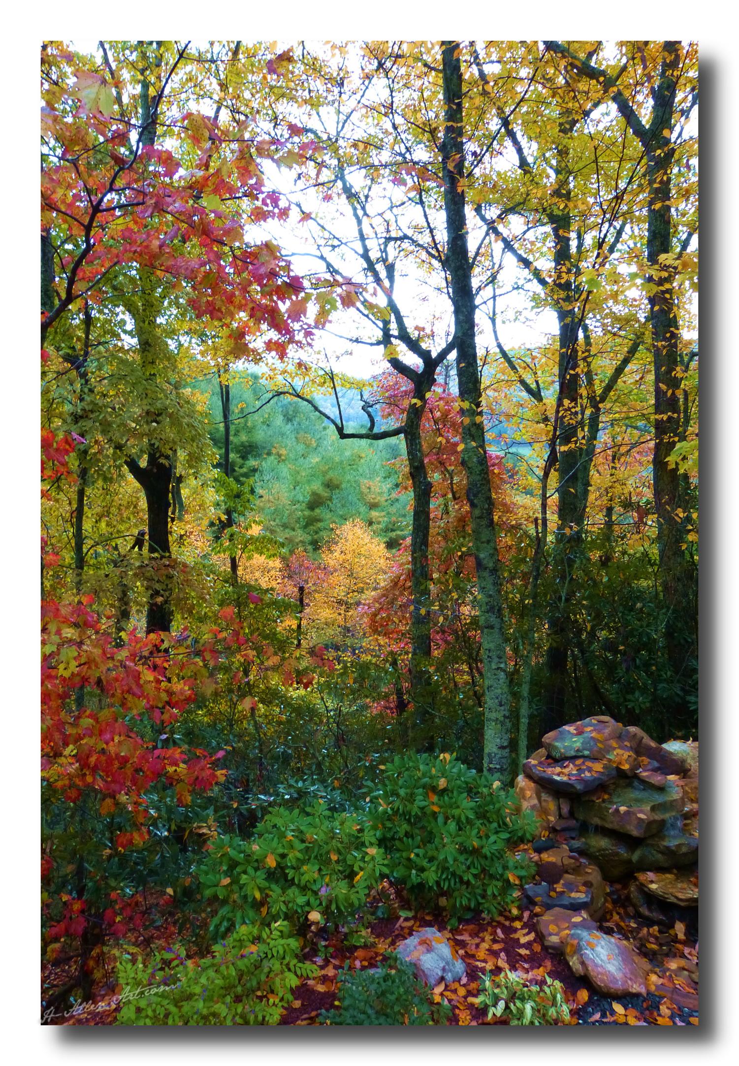 Chestnut Hill I, Burnsville, NC Chestnut Hill I, Burnsville, NC