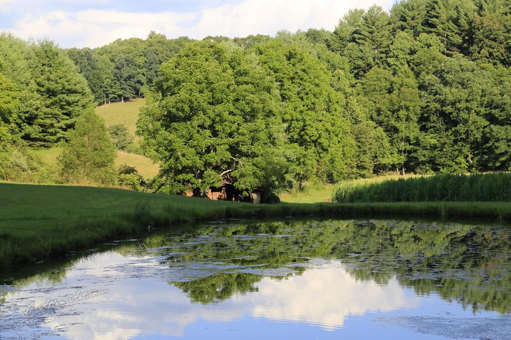 Country Pond II, Double Island Road, Burnsville, NC Country Pond II, Double Island Road, Burnsville, NC