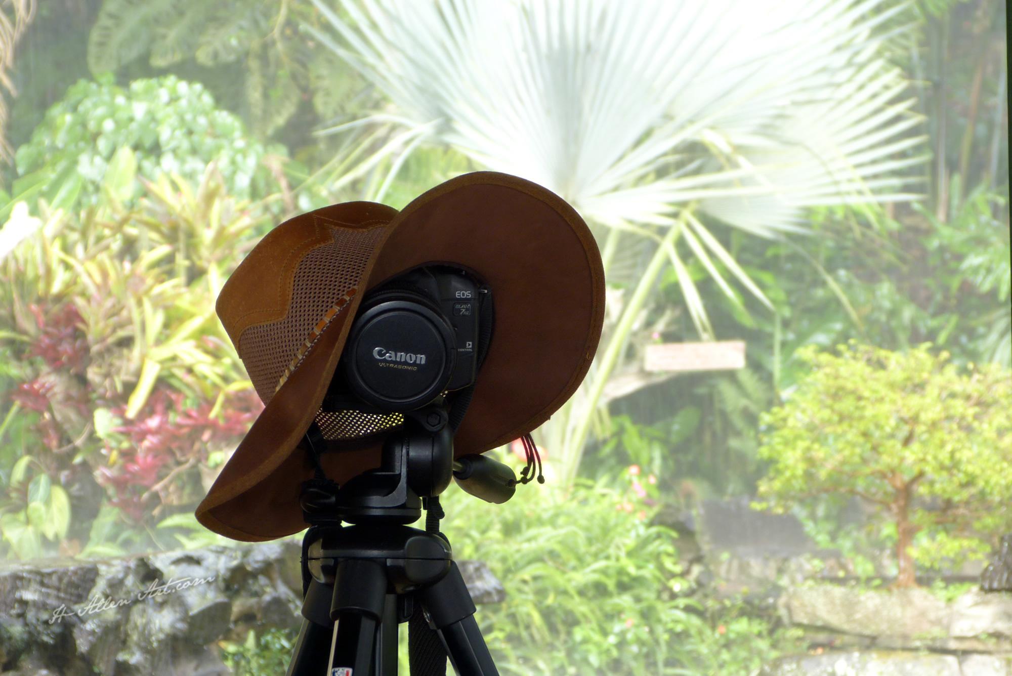 Hat on Camera-Tripod Hat on Camera-Tripod