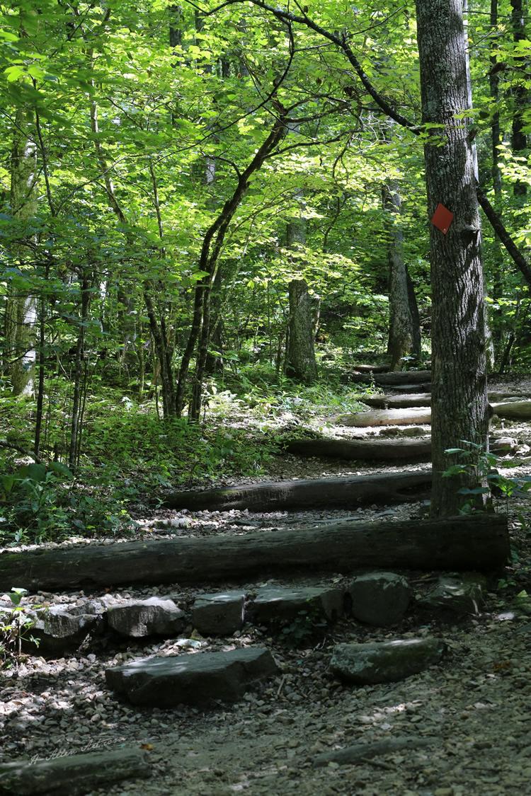 Hiking Path from Crabtree Falls, Blue Ridge Parkway, near McDowell & Yancey counties, NC Hiking Path from Crabtree Falls, Blue Ridge Parkway, near McDowell & Yancey counties, NC