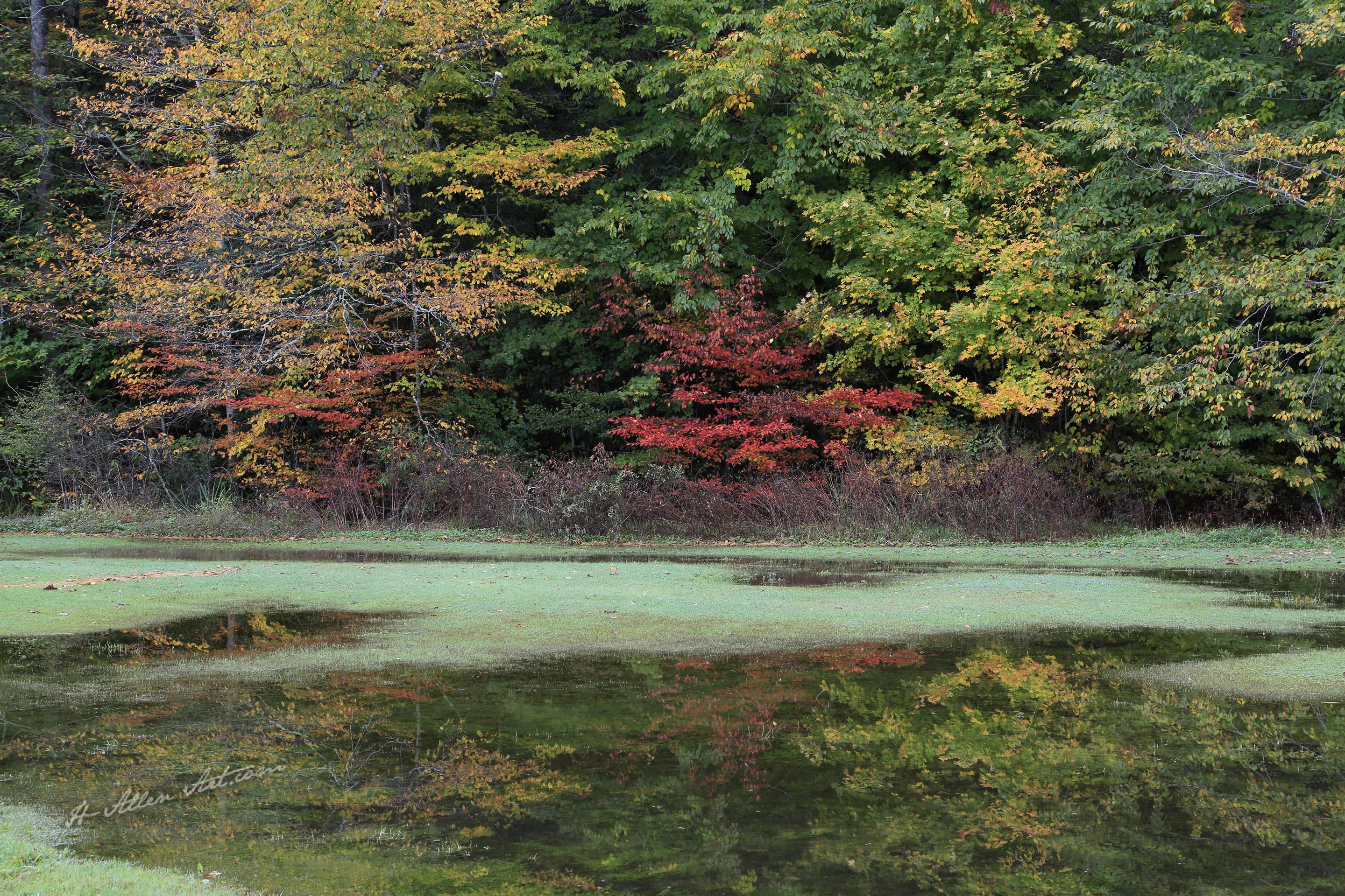Linville Harbor Pond, Banner Elk, NC Linville Harbor Pond, Banner Elk, NC