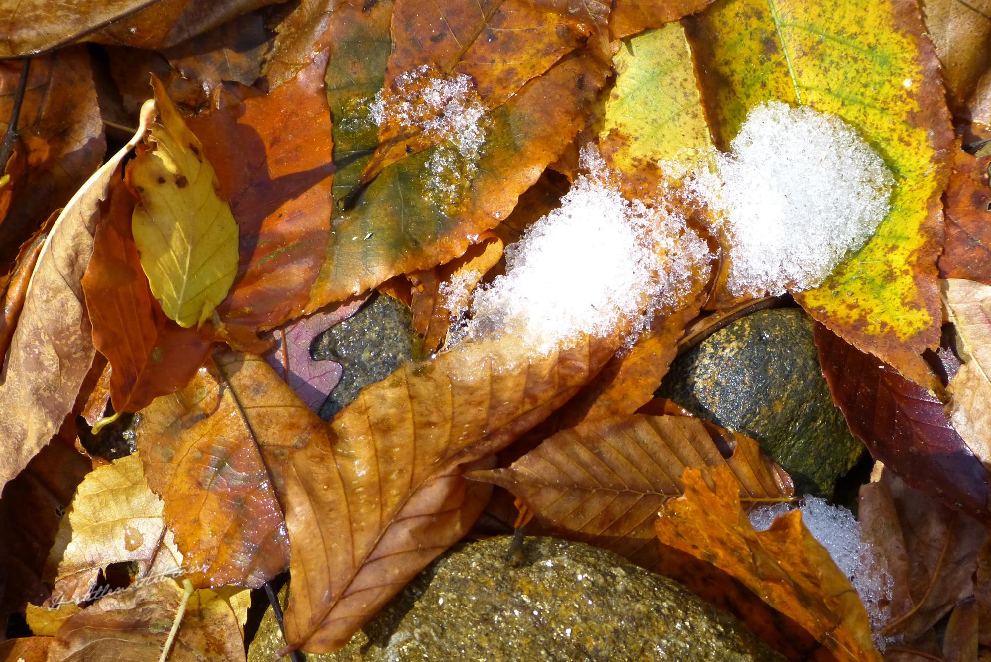 Sign of Winter, Chestnut Hill, Burnsville, NC Sign of Winter, Chestnut Hill, Burnsville, NC