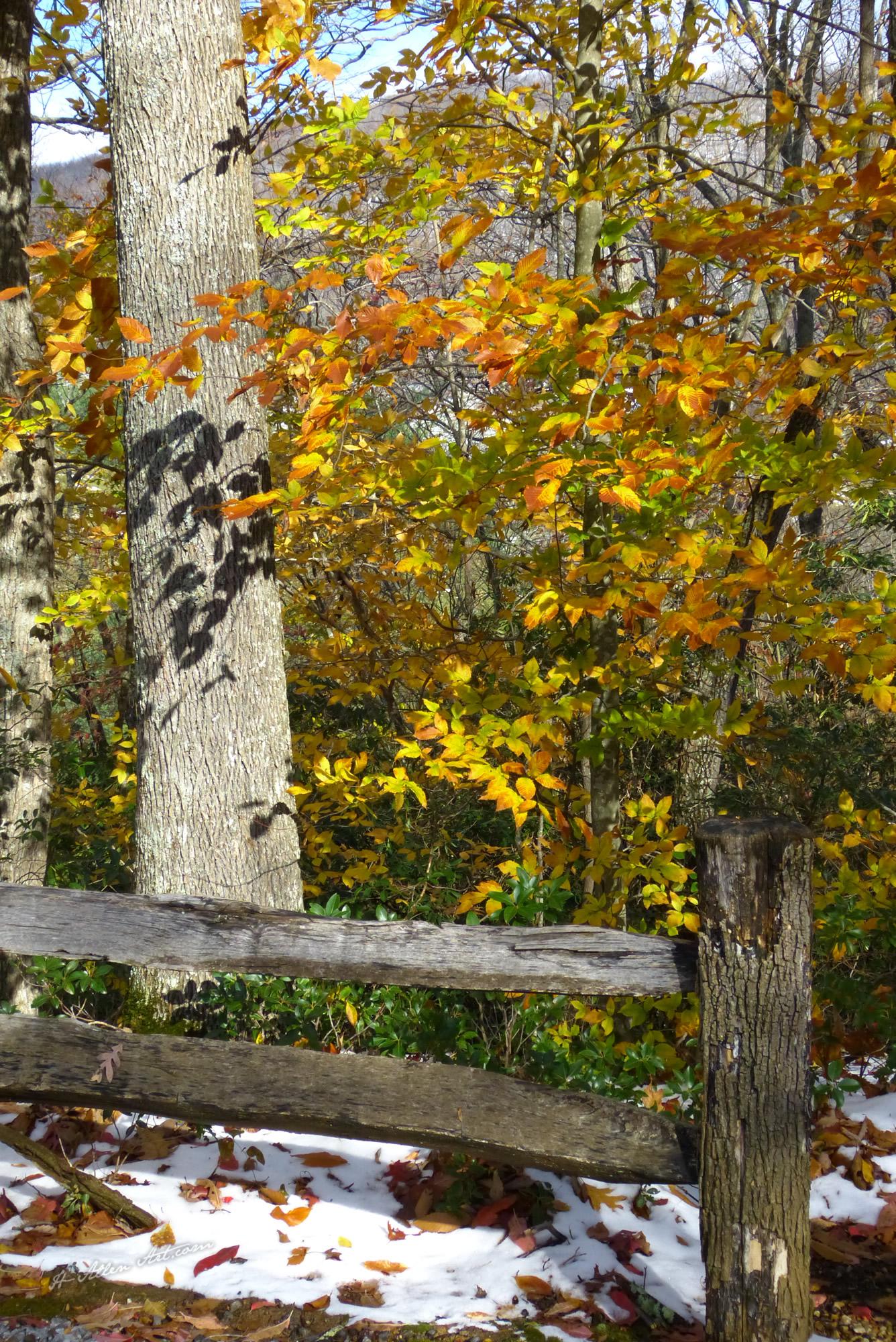 Signs of Winter, Chestnut Hill, Burnsville, NC Signs of Winter, Chestnut Hill, Burnsville, NC
