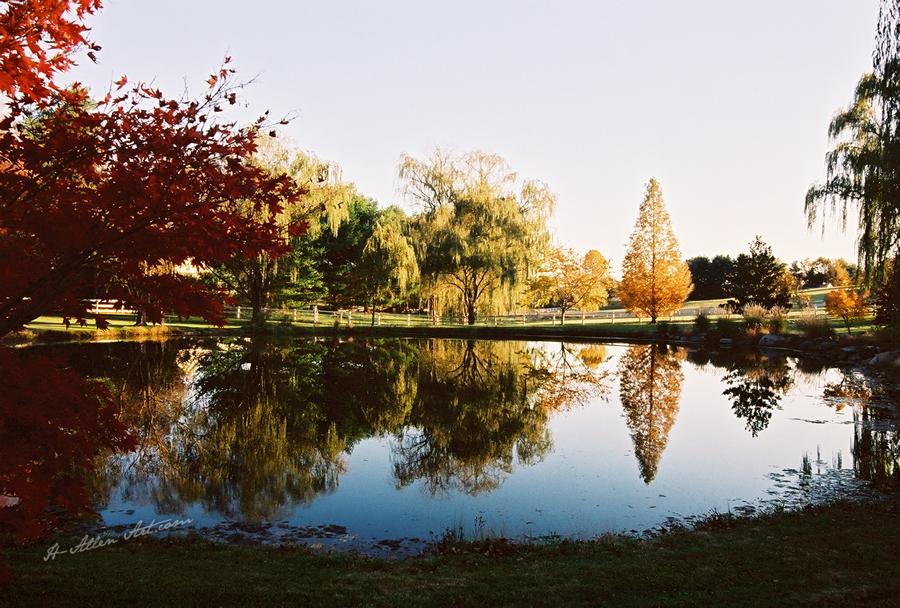 Reflection Pond II, Shenandoah Valley, Little Washington, , VA Reflection Pond II, Shenandoah Valley, Little Washington, , VA