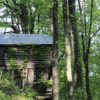Cabin in the Woods, Wildacres, Blue Ridge Parkway, Little Switzerland, NC